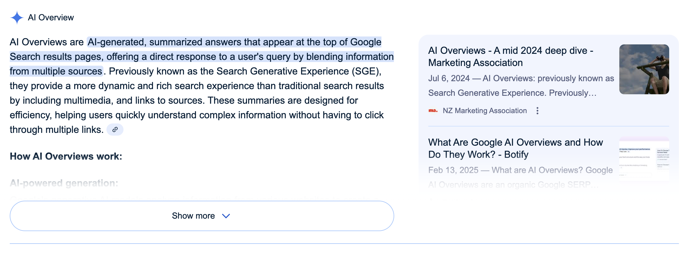 what are ai overviews (google screenshot)