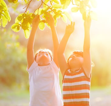 Happy kid outdoors in nature having good time picking the tree (retro style sunset time).jpeg
