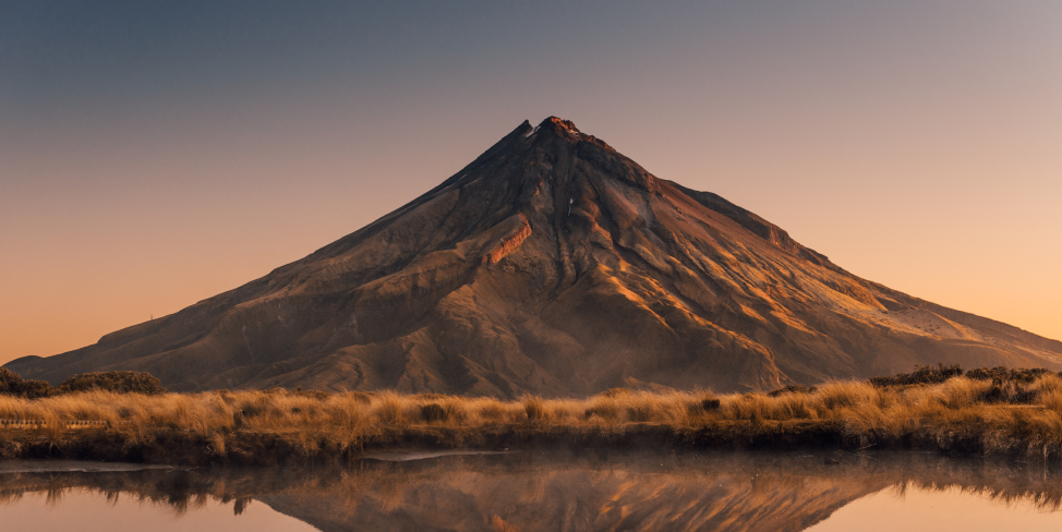 Digital Marketing Agency NZ