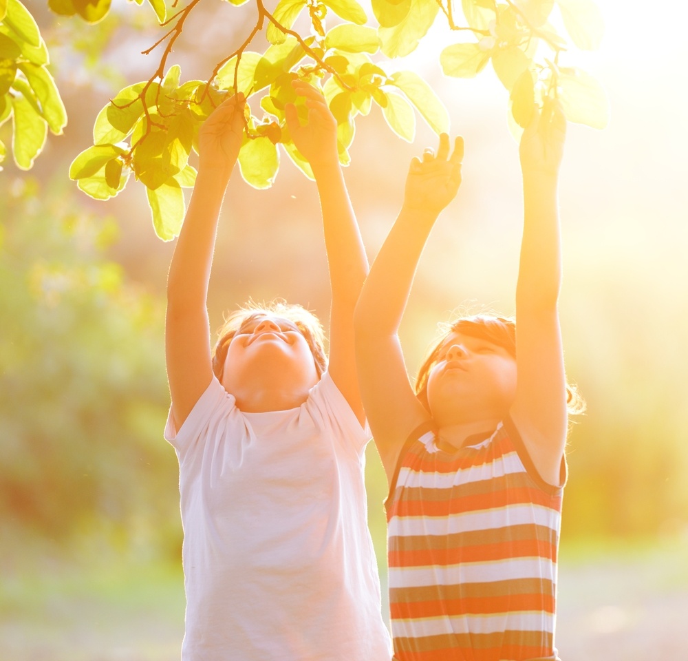 Happy kid outdoors in nature having good time picking the tree (retro style sunset time).jpeg