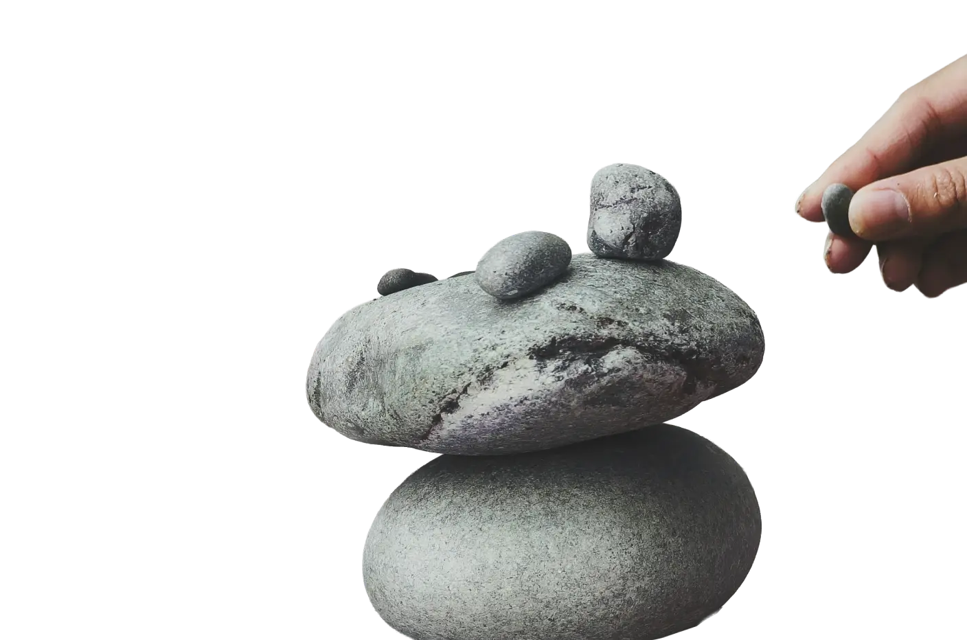 Build your own marketing programme